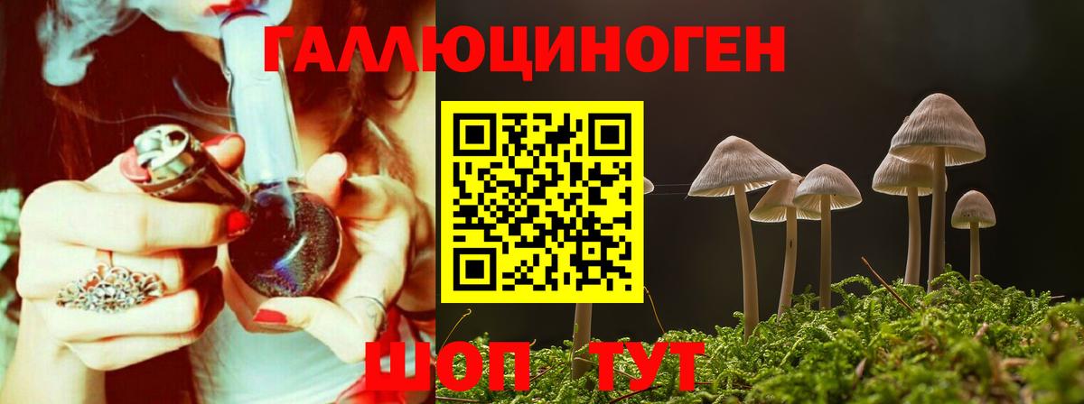 наркота  Вход с VPN  Коркино  Псилоцибиновые грибы мухоморы 